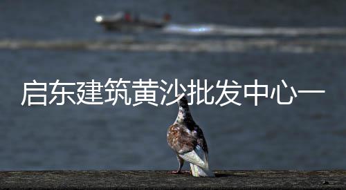 铜陵零售批发黄沙、水泥黄沙批发零售合肥、泗阳水泥黄沙批发零售、华庄水泥黄沙零售