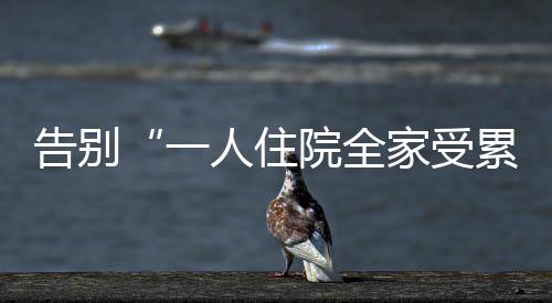 毕节地区石子批发厂家、德州小石子厂家批发地址、毛女石子馍整箱批发、安顺水洗黑石子批发
