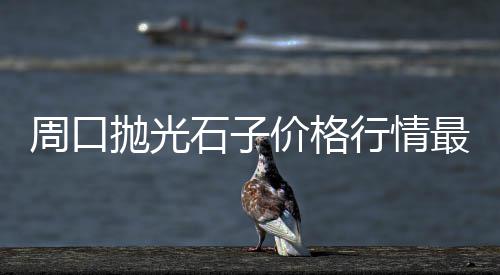 白石子批发发夹图片大全、雄县绿色透水石子批发、陕西白色石子哪里批发、泰安灰石子批发厂家