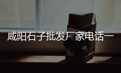 黄沙市场泥鳅价格表大全、黄沙市场附近楼价、广州黄沙市场货运、广州黄沙市场海鲜