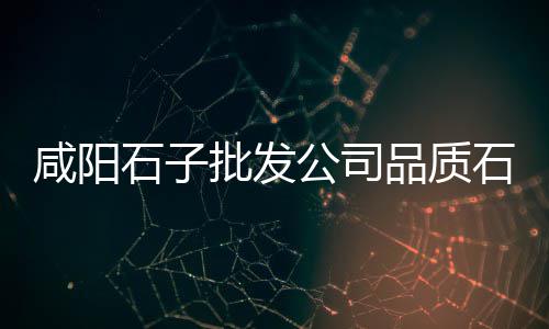 河北沧州石子价格、水泥稳定石子价格、萧山石子价格、合肥今天石子价格
