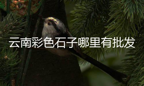 上海黄沙岛有什么好玩的、上海打击黄沙船情况、上海中粗黄沙配送、上海黄沙码头招租公司