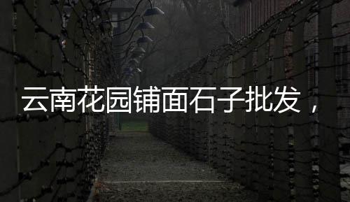 阳高县石子价格、广汉石子价格、陶粒石子价格、汾水石子价格