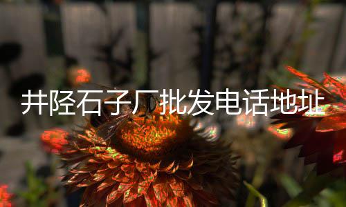 余姚沙子石子水泥零售、新昌石子零售店在哪里进货、辛口镇石子零售店在哪、阜南柳沟石子沙子零售店