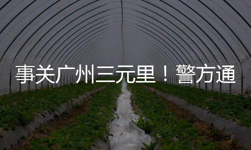 黄沙石子价格怎么查询的、高州黄沙草鱼价格行情、金华黄沙价格走势分析最新、黄沙单房出租价格