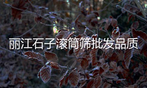 桐柏县石子价格、装饰豆粒石子价格、济宁石子的价格、白石子价格查询