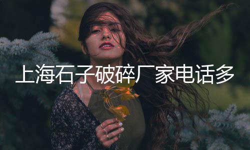 太原石子砂石料批发市场、陆丰石子批发市场在哪个镇、贵阳大石子女装批发市场地址、无棣县白石子厂家批发市场在哪