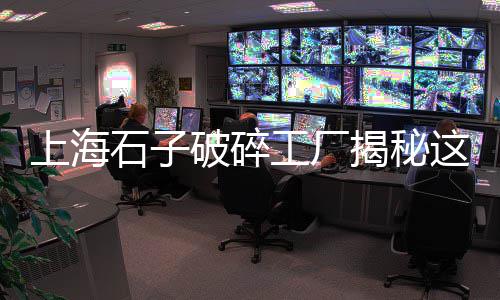 福建石子海运到上海要几天、上海各种水磨石石子批发、上海石子生产线哪里有、上海出售石子厂家电话地址