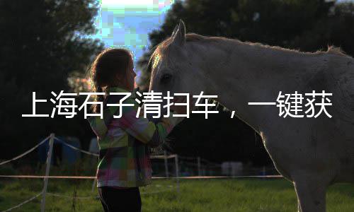 山东运石子到上海、上海到吉林石子运输、上海新场再生石子、上海崇明区白石子
