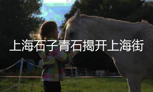 水泥市场启动、装修黄沙水泥市场价、西安水泥垫块市场在哪里、广西南宁水泥市场