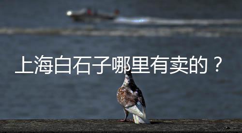 东北地区黄沙的价格、襄阳水泥黄沙价格查询、安化黄沙坪婚庆价格、常州金坛水泥黄沙价格