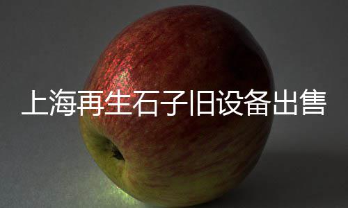 王总广东黄沙市场、黄沙市场法式、湖南黄沙镇黄沙市场、黄沙市场烧鸭