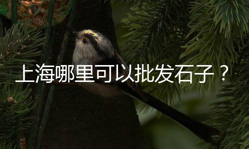 中北镇石子零售商、天穆镇石子批发零售、开封石子零售店在哪、宜宾石子零售电话是多少