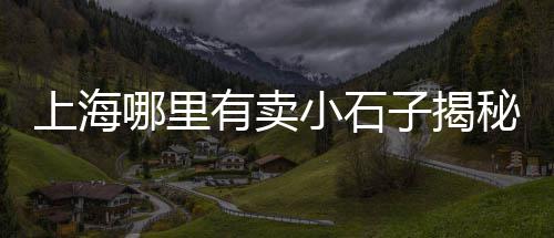 小石子批发电话、安化水磨石石子批发厂家、南安青石子批发市场、大庙附近石子批发市场