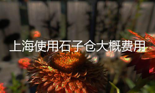 平川石子价格查询、和平石子价格多少、凤县石子什么价格、聊城园林石子价格