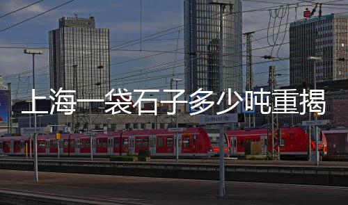 中山发泡水泥板批发厂家、青岛水泥地坪批发价格表、彩色水泥砖批发价格表、温江区水泥砂浆批发市场