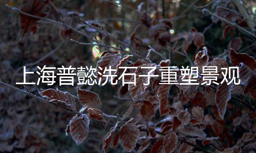 贵定县哪里有水泥零售、富平哪里零售水泥最多、朝阳水泥砖零售、济宁水泥涵管模具零售