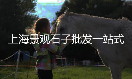 高邑建材城水泥砖批发、承德水泥批发、超市水泥批发、紫云水泥批发