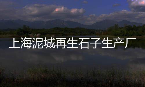 石家庄青石子批发、香港石子批发、石子在哪批发、翁源石子批发