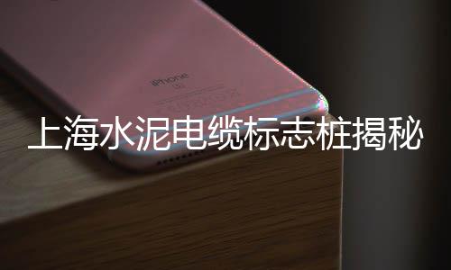 上海黄沙价格实时价格、上海陆家嘴水泥黄沙、如何从上海骑车去黄沙岛、上海黄沙石子码头怎么样