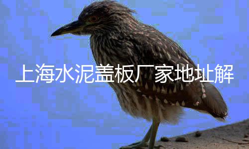 上海石子黄沙直销、上海港口石子价格表、上海黄沙石子采购站电话、上海再生石子粗砂厂家有哪些