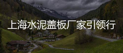硅酸水泥市场行情走势、水泥流水槽模具市场、庆阳水泥批发市场、信阳水泥护栏市场报价