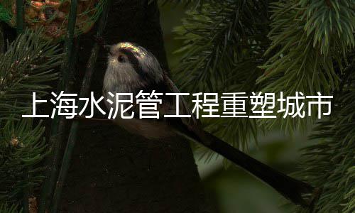 上海批发石子、上海瓜子片与石子哪个贵、上海港口石子价格多少、水磨石石子批发上海