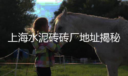 常州聚合物水泥涂料零售、新疆水泥杆零售厂家地址、常州水泥黄沙零售店、建材水泥怎么零售铺市场