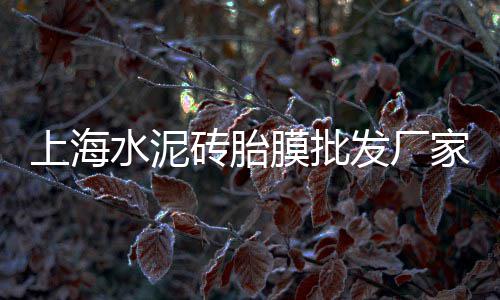 沧州河道治理水泥毯价格、水泥配重图片价格、洛阳供应水泥防爆板价格、福山大棚水泥立柱价格