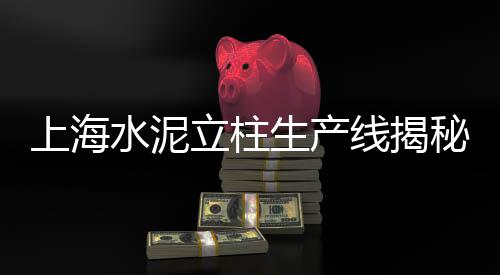 上海水泥风格装修效果图、上海水泥罐车限行规定、上海水泥冰淇淋厂家电话、上海水泥地面修复推荐