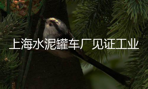 忠县水泥熟料市场电话、福建水泥电线杆批发市场、聊城水泥地坪市场价格表、普陀区进口水泥市场价格