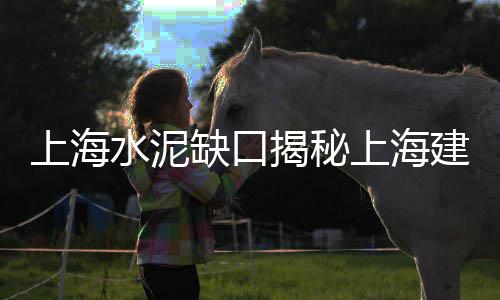 遂宁零售砂石水泥厂家、零售五块的水泥是多少吨、永新水泥零售点在哪里啊、淄博水泥保温板零售店