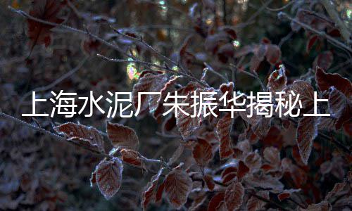 上海水泥雕源头厂家地址、上海水泥压花地坪模具、上海水泥老板遥控地磅、上海水泥压花施工公司