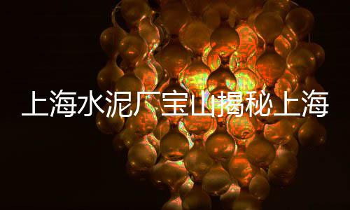 烟台仿木水泥围栏价格、成都双流区水泥价格走势、福建南平武夷水泥价格、华新水泥最新价格表