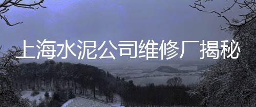 袋装水泥市场萎缩、大张庄冀东水泥市场在哪、砂石料水泥市场调研、濮阳批发水泥花砖市场