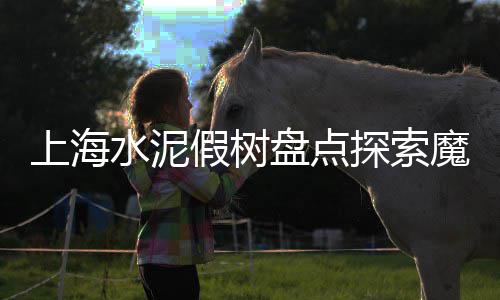 珙县水泥批发、中兴镇水泥批发、浙江砂石水泥批发、莆田水泥速凝剂批发