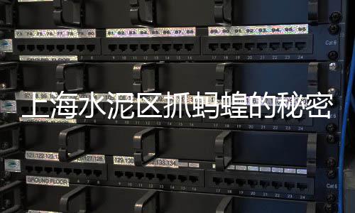 水泥扶手价格、庭院水泥地砖价格、信阳市水泥价格、佳木斯水泥扶手墩价格