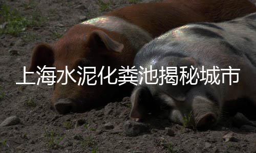沛县大屯沙子水泥石子批发零售、天津滨海新区石子零售、含山零售石子店在哪里、市政道路石子零售
