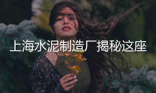 富平石子馍批发价、沥青专用石子批发商、云浮水泥块石子批发、东莞露营地石子批发