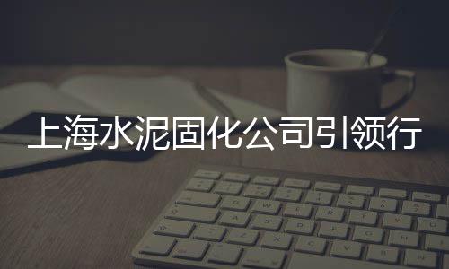 南京水泥河沙批发、南岳水泥批发、宁晋水泥批发、水泥批发龙港