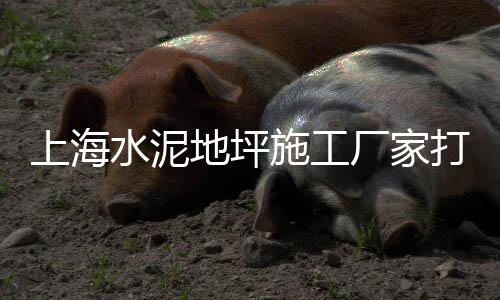 周边黄沙零售配送公司、海珠黄沙零售哪家好一点、黄沙水泥石子加气块批发零售、批发零售水泥黄沙砖头粘结剂等