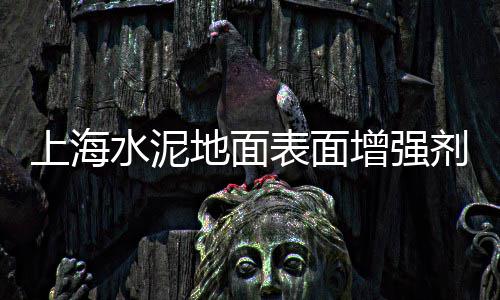 上海石子出售、上海清扫石子扫地机、上海石子清扫机租赁、上海市沙石子价格