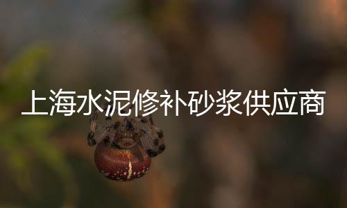 从化水泥零售运输公司、张大广水泥零售批发点、德州水泥铰刀零售店在哪、乌市沙子水泥批发零售店