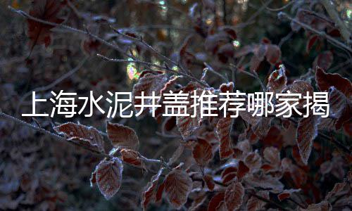 上海红砖水泥黄沙价格、上海卖黄沙码头在哪、上海水泥黄沙订购、上海开源码头黄沙