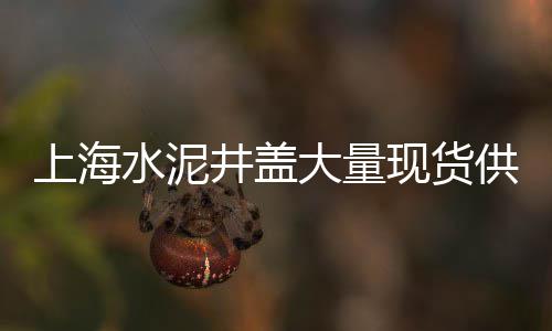 上海黄沙水泥建材直销电话、上海拉黄沙的船、上海美凯龙 黄沙、上海张江水泥黄沙