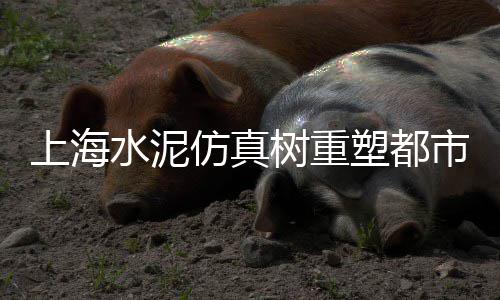 黄沙市场限行、黄沙市场哪里进货、黄沙市场鲳鱼价格、黄沙市场门口酒楼