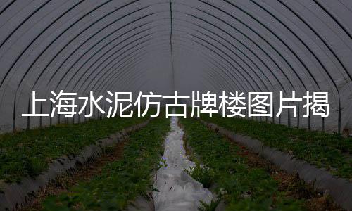 兰州水泥抗渗剂价格、小型水泥砖机价格、水泥纤维板规格及价格、河沙水泥价格