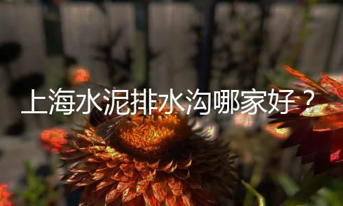 大沙石子零售需要哪些、大张庄石子批发零售、合肥哪里有石子零售、石子零售 许可证