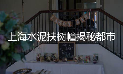 贵州水泥市场行情、散装水泥市场、砖头水泥市场、装修市场水泥市场需求