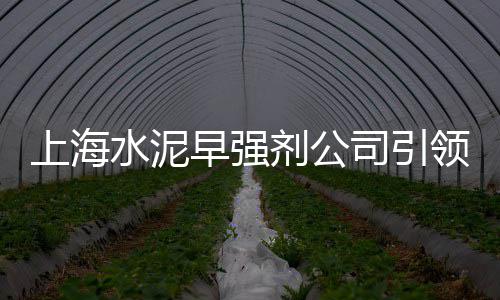 涉县零售石子电话是多少、哈拉尔沙子水泥石子建材批发零售、大荔县石子馍零售批发市场、零售批发水泥沙子石子价格多少